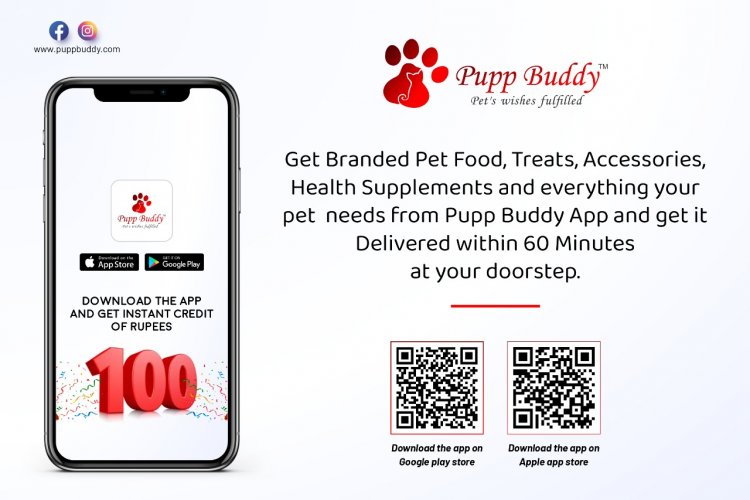 TREAT AND LOAD YOUR LITTLE PETS WITH AN ABUNDANCE OF UNCONDITIONAL LOVE WITH PUPP BUDDY
