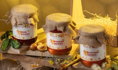 Discover the Wonders of Forest Honey: Pure, Natural, and Delicious |By Amrit Jaiswal