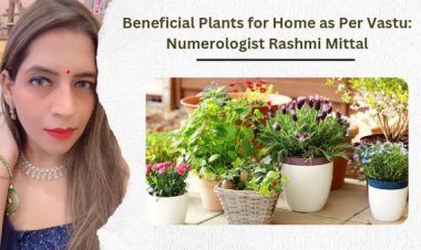 Beneficial Plants for Home as Per Vastu: Numerologist Rashmi Mittal Highlights the Importance of Greenery in Vastu Shastra.