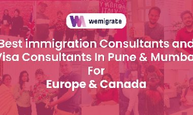 We Migrate Achieves Remarkable Success in Securing Work Visas for European Countries